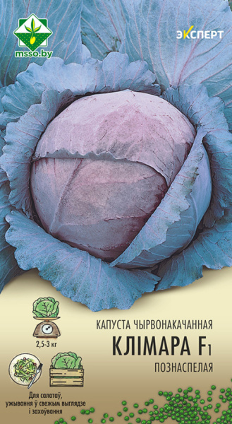 Капуста краснокачанная Климаро F1(12шт)