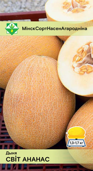 Дыня Свит ананас 10 шт
