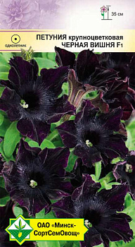 Петуния гибр. крупноцв. Черная вишня F1 5шт