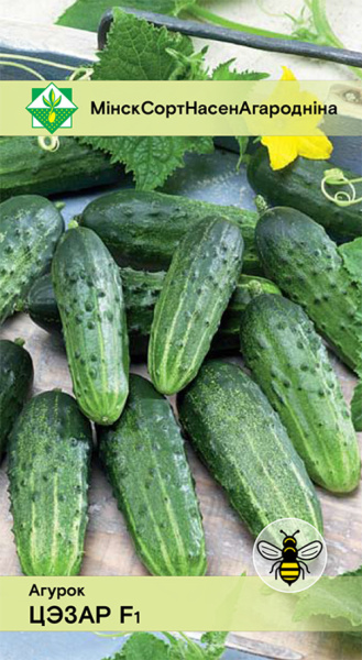 Огурец Цезарь F1 0,6г.