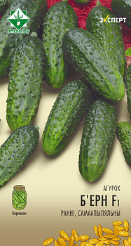 Огурец Бьерн F1 10шт (Эксперт)