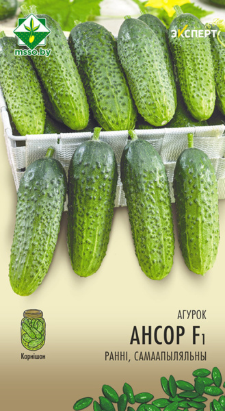 Огурец Ансор F1 (10шт) Эксперт