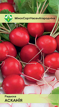 Редис Аскания, 2г