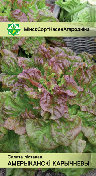 Салат Американский коричневый листовой 1г.