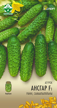 Огурец Ансгар F1 7шт (Эксперт)