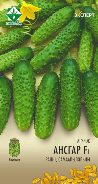 Огурец Ансгар F1 7шт (Эксперт)