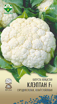 Капуста цветная Клэптон F1 6 шт. Эксперт