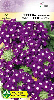 Вербена гибридная Сиреневые росы 0,1 г