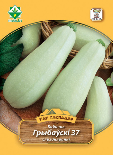 Кабачок Грибовские 37 8гр.