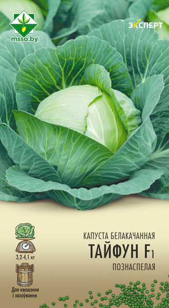 Капуста б/к Тайфун F1 12шт (Эксперт)