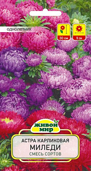 Астра карликовая Миледи смесь сортов (W.Legutko) 0,5г