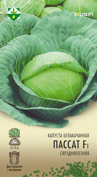 Капуста Пассат F1 б/к 12шт (Эксперт)