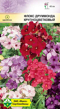 Флокс Друммонда Крупноцветковая см 0.3г,