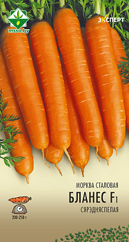 Морковь Бланес F1 столовая 0.3г (Эксперт)
