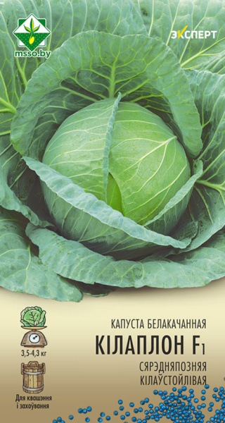 Капуста Килаплон F1 , 12 шт.