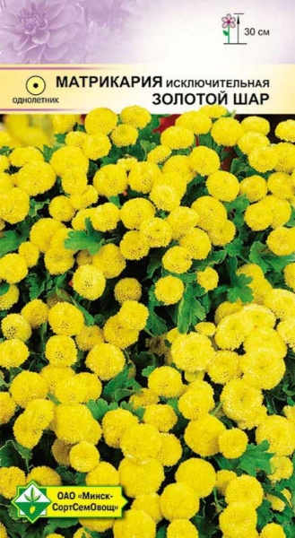Матрикария исключительная Золотой шар 0,1г.